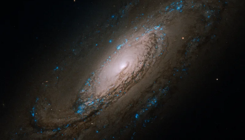 NGC 5005 (C29) Galaxy