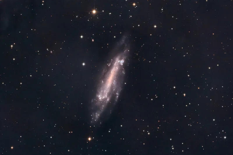 NGC 4236 (C3) Galaxy