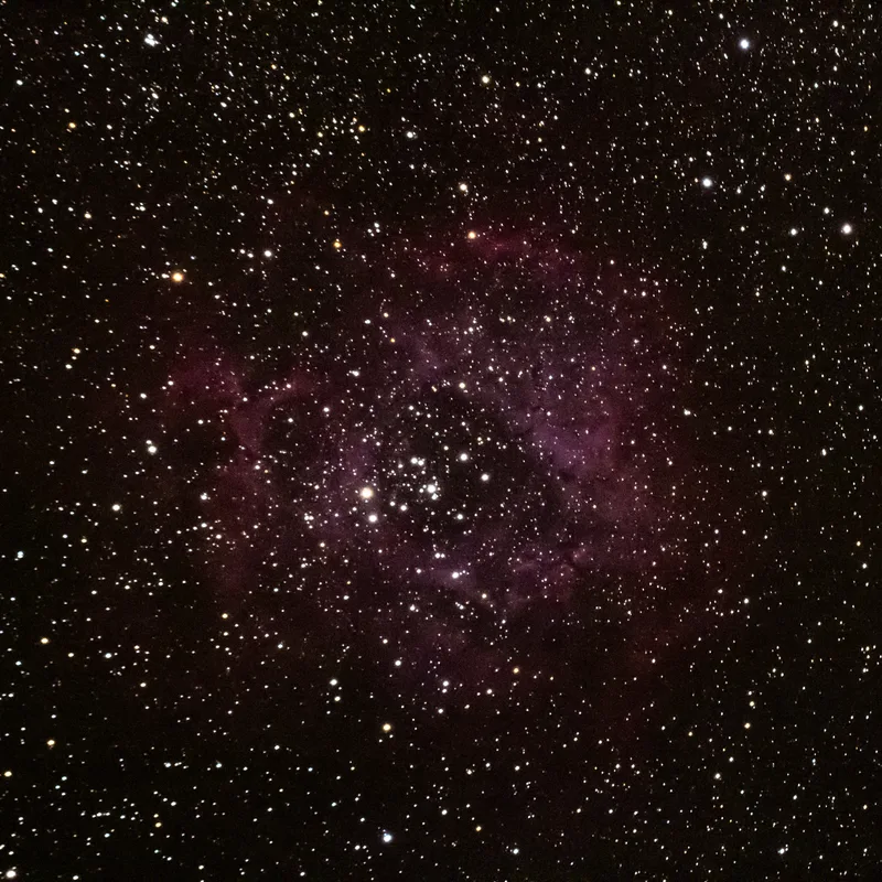 NGC 2244 (C50) Open Cluster
