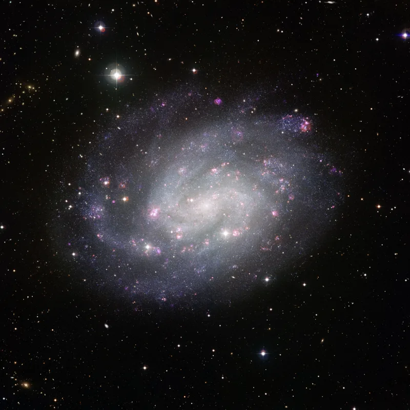 NGC 300 (C70) Galaxy