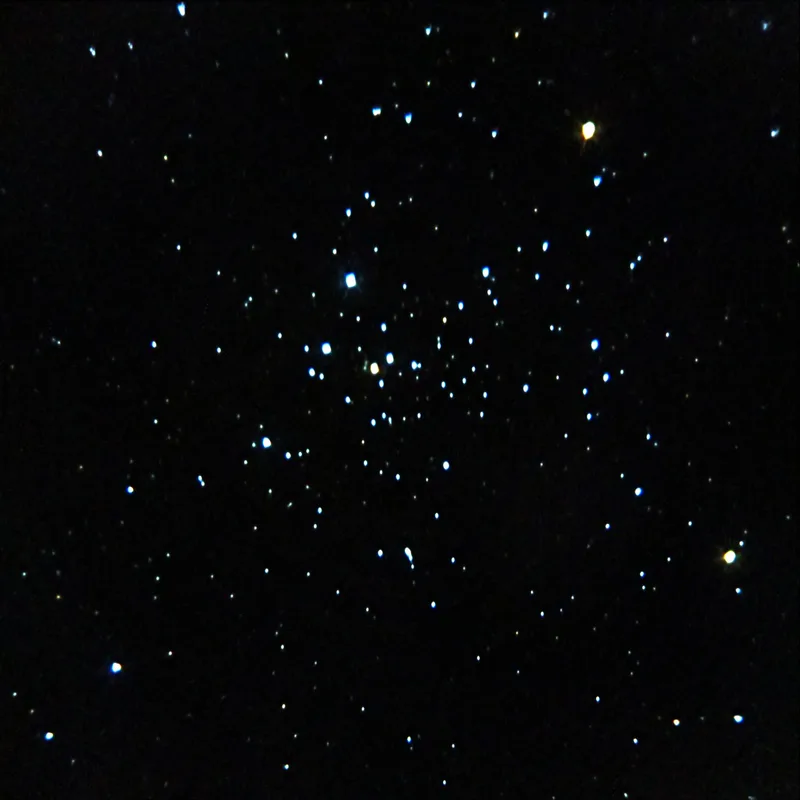 NGC 2516 (C96) Open Cluster