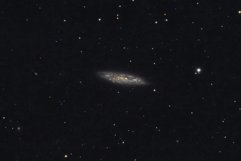 NGC 3556