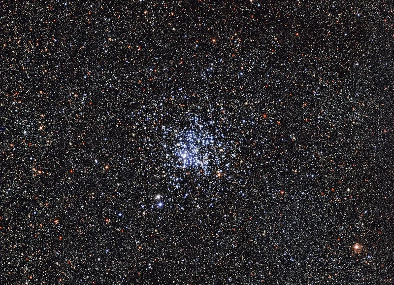Wild Duck Cluster