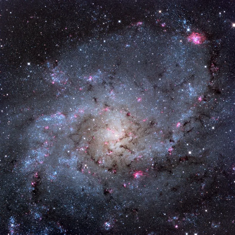 Triangulum Galaxy
