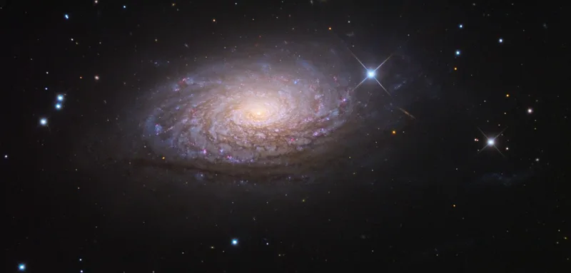 Sunflower Galaxy