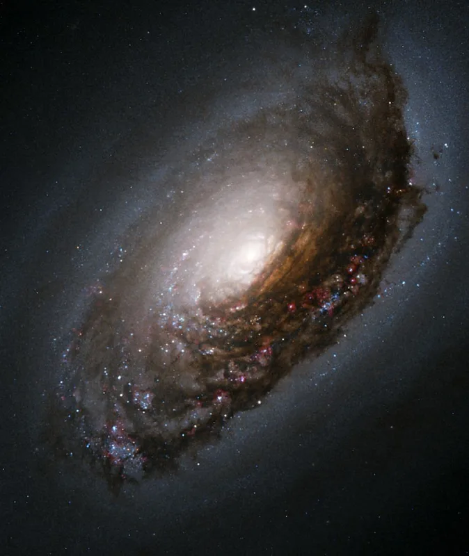 Blackeye Galaxy