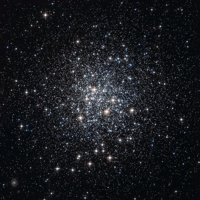 NGC 6981