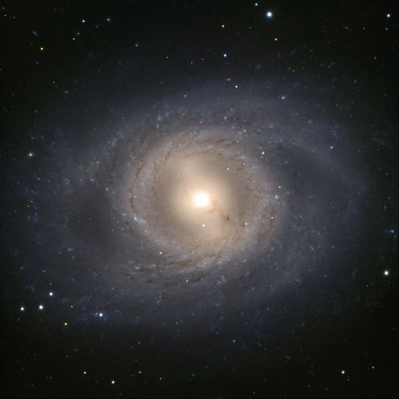 NGC 3351